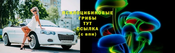 ECSTASY Алексин