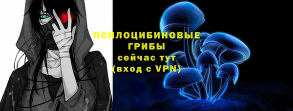 а пвп мука Алзамай