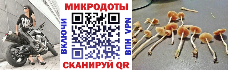 Галлюциногенные грибы Cubensis  Островной 